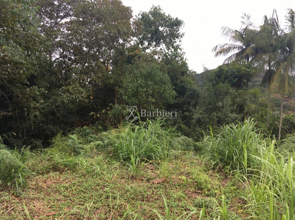 Terreno em Garcia, Blumenau